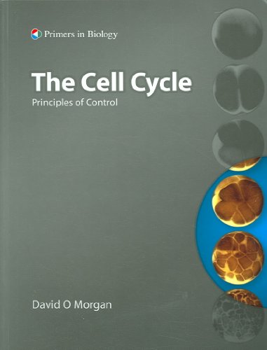 The Cell Cycle: Principles of Control