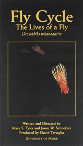 Fly Cycle: The Live Of A Fly, Drosophila