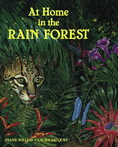 At Home in the Rain Forest