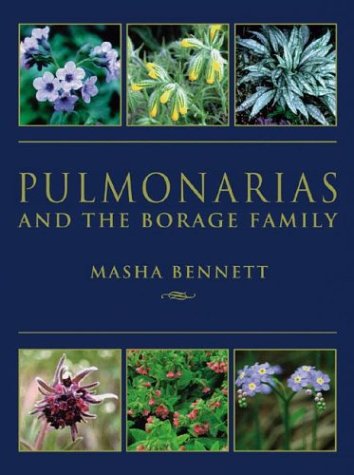 Pulmonarias and the Borage Family
