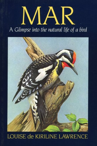 Mar: A Glimpse Into the Natural Life of a Bird