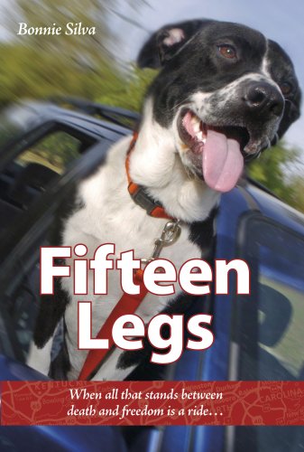 Fifteen Legs: When all that stands between death and freedom is a ride