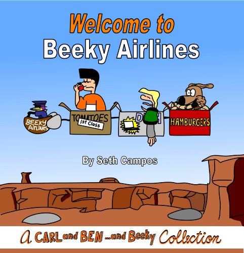Welcome to Beeky Airlines