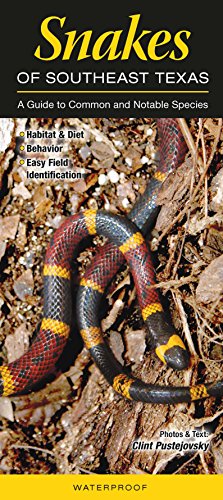 Snakes of Southeast Texas: A Guide to Common & Notable Species (Quick Reference Guides)