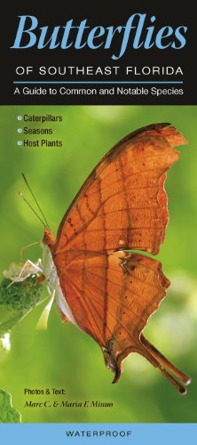 Butterflies of Southeast Florida: A Guide to Common and Notable Species (Quick Reference Guides)