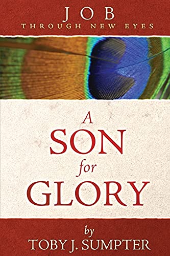 Job Through New Eyes: A Son for Glory (Through New Eyes Bible Commentary)