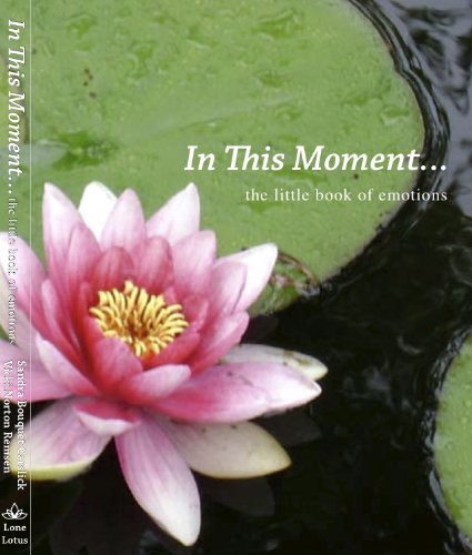 In This Moment...the little book of emotions