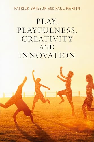 Play, Playfulness, Creativity and Innovation