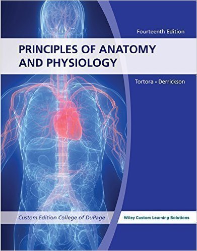 Principles of Anatomy and Physiology 14e with Brief Atlas of The Skeleton and Surface Anatomy. ACCESS CODE NOT INCLUDED. USED BUT IN VERY GOOD CONDITION. INSTANT Local pick up or delivery