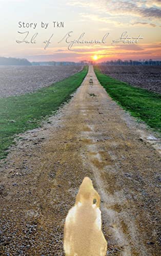 Tale of Ephemeral Street