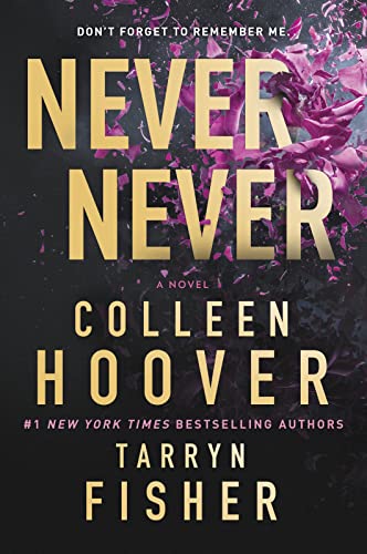 Never Never: A Romantic Suspense Novel of Love and Fate