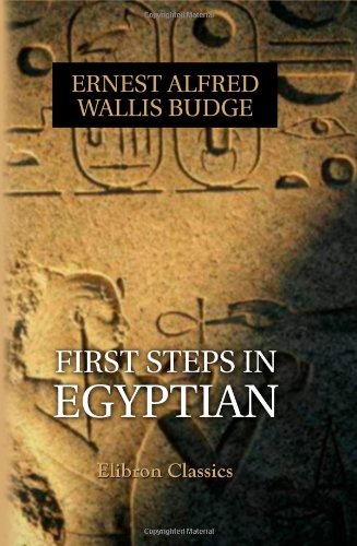 First Steps in Egyptian: A book for beginners