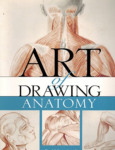 The Art of Drawing Anatomy