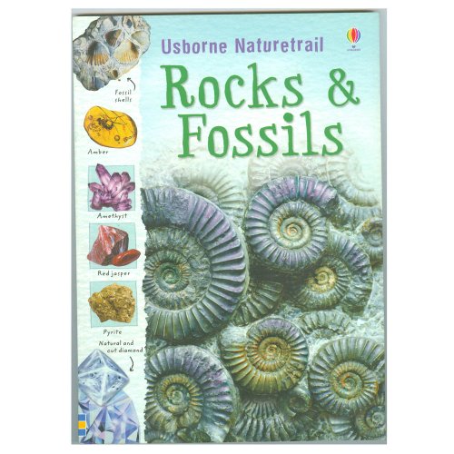 Rocks & Fossils