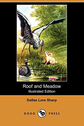 Roof and Meadow