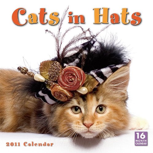 Cats in Hats 2011 Calendar