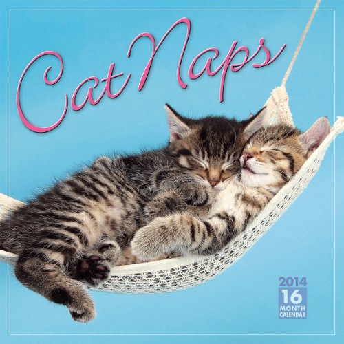 Cat Naps 2014 Wall (calendar)