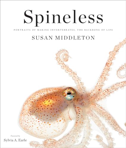 Spineless: Portraits of Marine Invertebrates