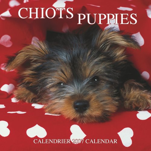 Chiots/puppies 2007 Calendar