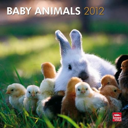 Baby Animals 2012 Calendar