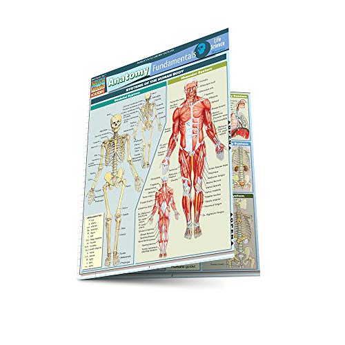 Anatomy Fundamentals: Life Science