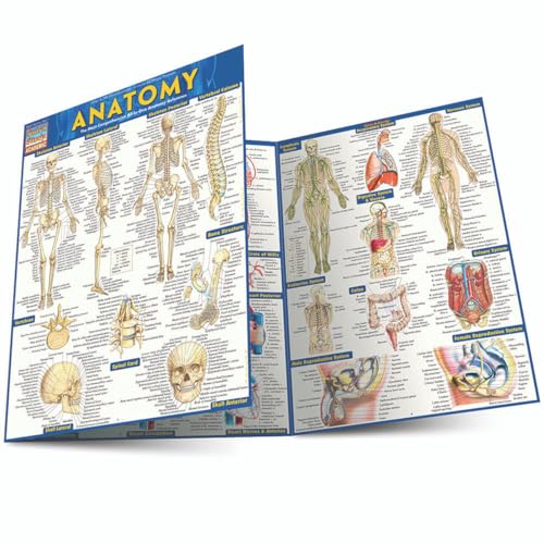 Anatomy: QuickStudy Laminated Reference Guide (QuickStudy Academic)