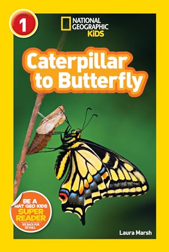 Caterpillar to Butterfly (National Geographic Kids Explore! Readers, Level 1) (National Geographic Kids Readers)