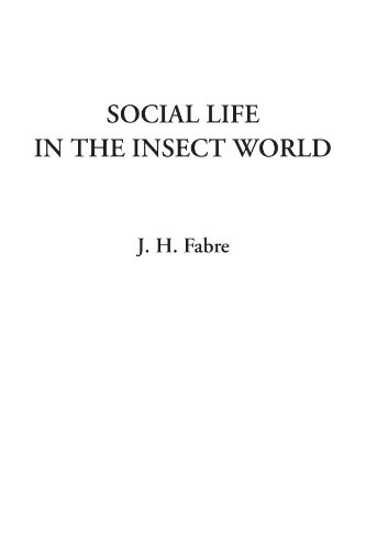 Social Life in the Insect World