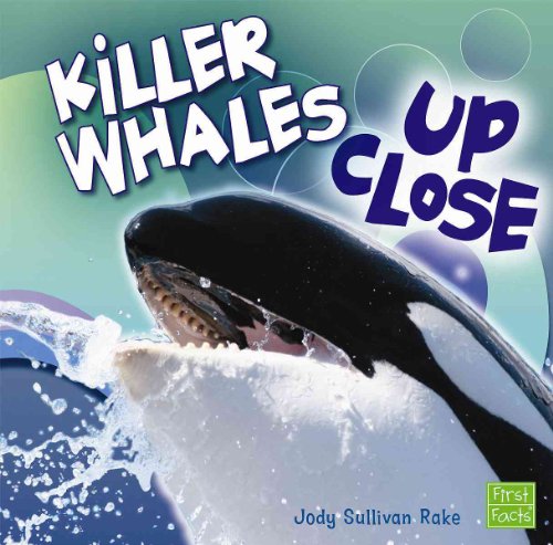 Killer Whales Up Close (First Facts Whales and Dolphins Up Close)