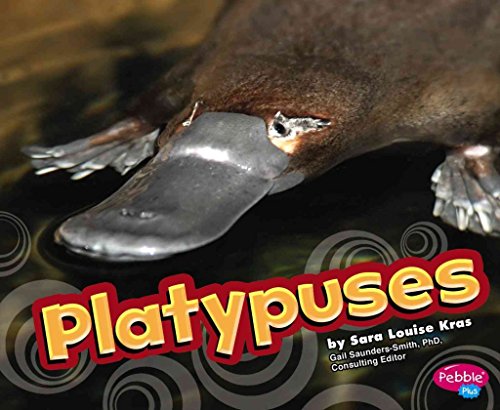 Platypuses (Pebble Plus: Australian Animals)