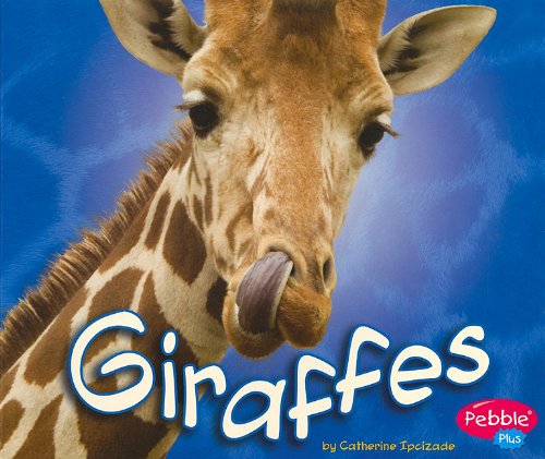 African Animals: Giraffes