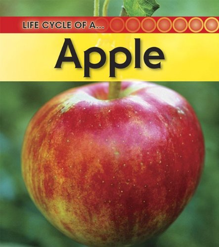 Life Cycle of an... Apple