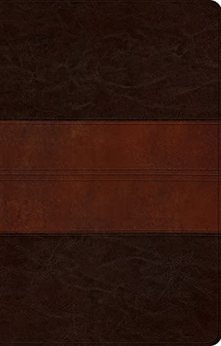 The Holy Bible: English Standard Version, Ultrathin, TruTone, Deep Brown/Tan, Trail Design