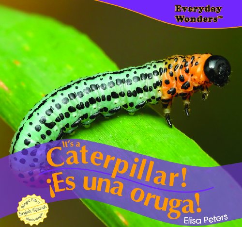 It's a Caterpillar! / Es una oruga! (Everyday Wonders / Maravillas De Todos Los Días)