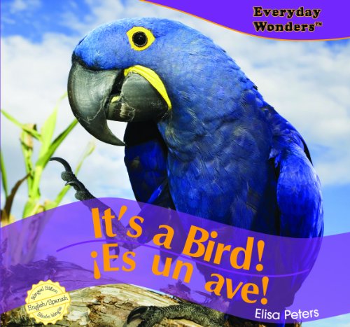It's a Bird! / ¡Es Un Ave! (Everyday Wonders / Maravillas de Todos los Días) (Spanish and English Edition)