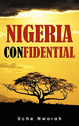 Nigeria Confidential: A Blogger's musings about his country
