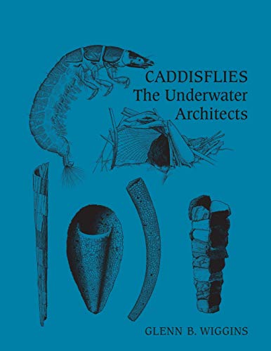 Caddisflies: The Underwater Architects