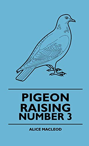 Pigeon Raising: Number 3