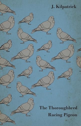 The Thoroughbred Racing Pigeon