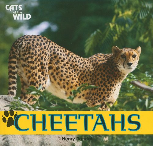 Cheetahs