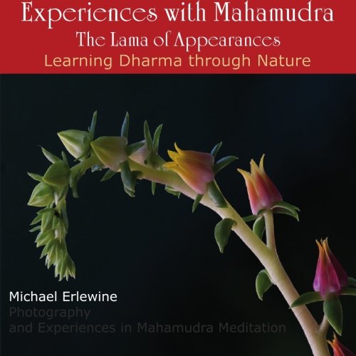 Experiences With Mahamudra: the Lama of Appearances: Learning Dharma Through Nature