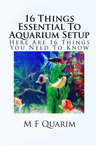 16 Things Essential To Aquarium Setup: Here Are 16 Things You Need To Know