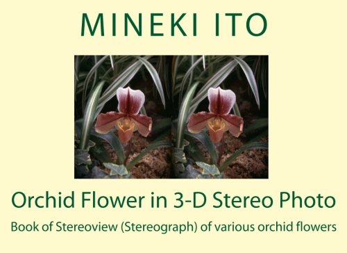 Orchid Flower in 3-D Stereo Photo