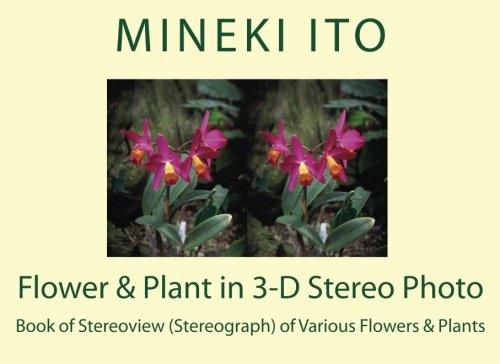 Flower & Plant in 3-D Stereo Photo: Book of Stereoview (Stereograph) of Various Flowers & Plants