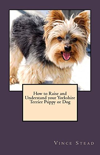 How to Raise and Understand your Yorkshire Terrier Puppy or Dog