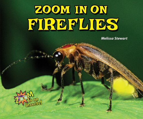 Zoom in on Fireflies