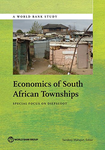 Economics of South African Townships: Special Focus on Diepsloot