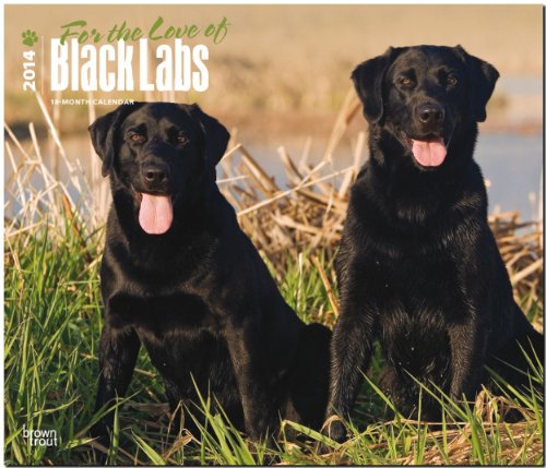 For the Love of Black Labrador Retrievers 2014 18-Month Calendar