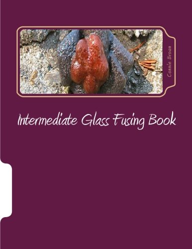Intermediate Glass Fusing Book