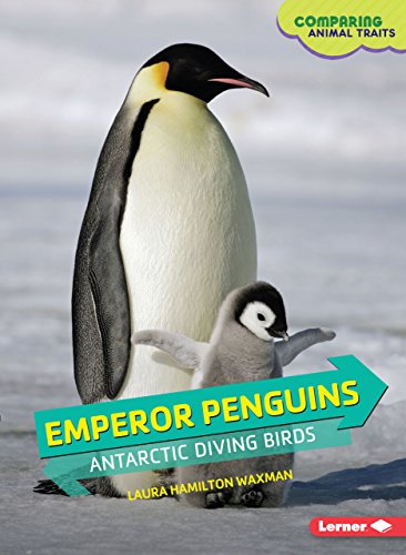Emperor Penguins: Antarctic Diving Birds (Comparing Animal Traits)